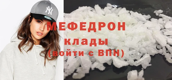 индика Козельск