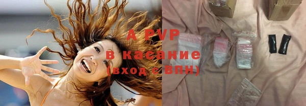 ПСИЛОЦИБИНОВЫЕ ГРИБЫ Козловка