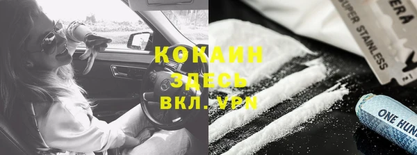 индика Козельск