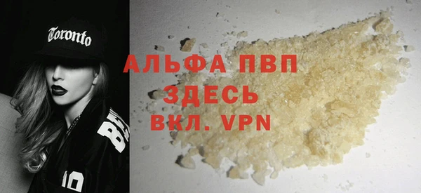 ПСИЛОЦИБИНОВЫЕ ГРИБЫ Козловка