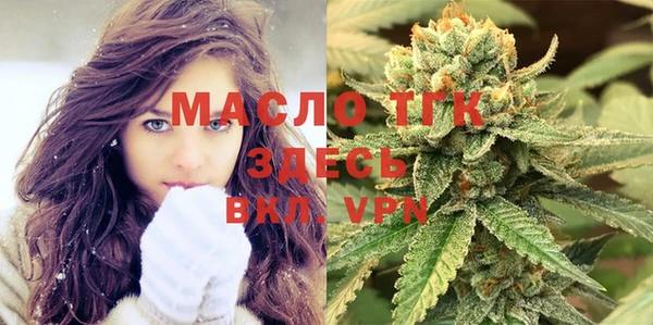 индика Козельск
