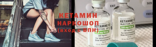 индика Козельск