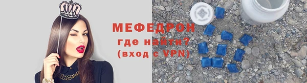 индика Козельск