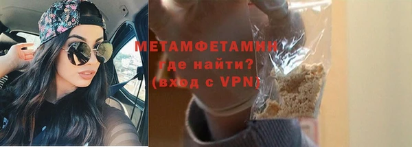 индика Козельск