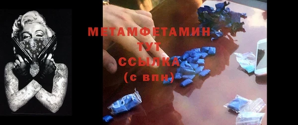 ПСИЛОЦИБИНОВЫЕ ГРИБЫ Козловка