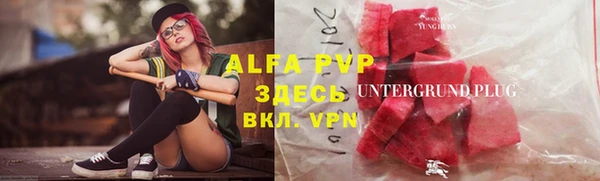индика Козельск