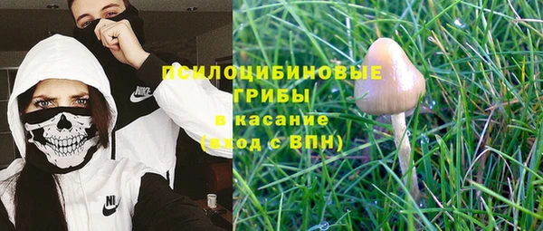 индика Козельск
