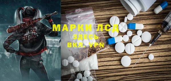 индика Козельск