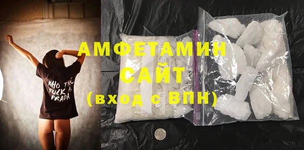 индика Козельск