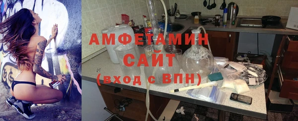ПСИЛОЦИБИНОВЫЕ ГРИБЫ Козловка