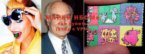индика Козельск