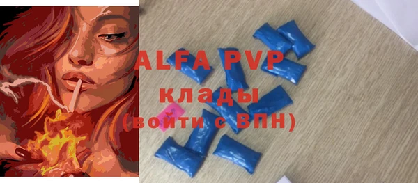 индика Козельск